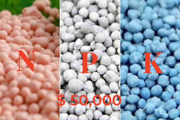 $50,000 cost NPK fertilizer production plans